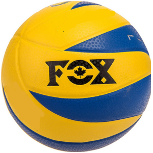 توپ والیبال Fox France