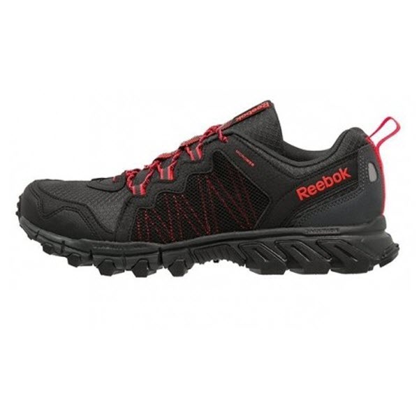 کتانی پیاده روی مردانه ریبوک Reebok Trailgrip Rs 4.0